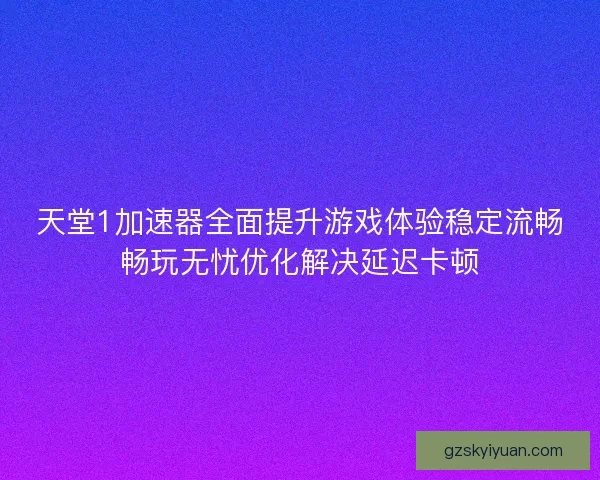 天堂1加速器全面提升游戏体验稳定流畅畅玩无忧优化解决延迟卡顿